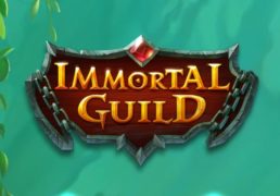 Immortal Guild Screenshot 1