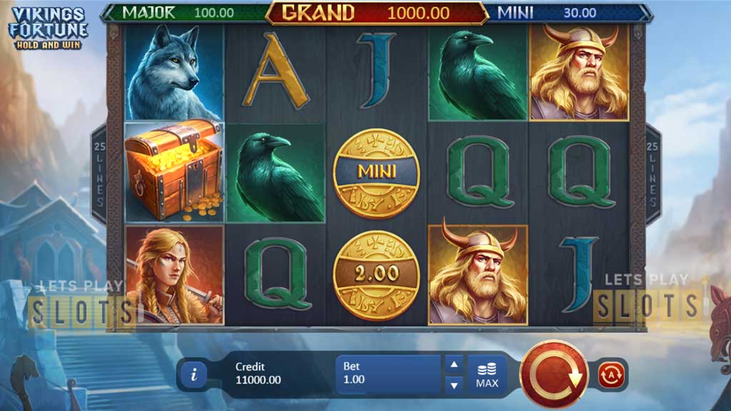 Vikings Fortune: Hold and Win